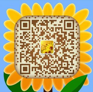 扫描关注网站建设微信公众账号